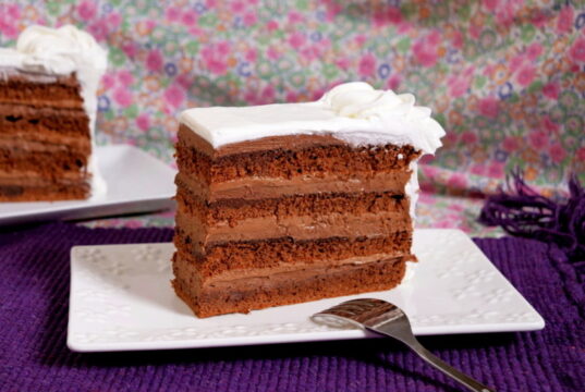 Brzi Kolači najbolja čokoladna torta
